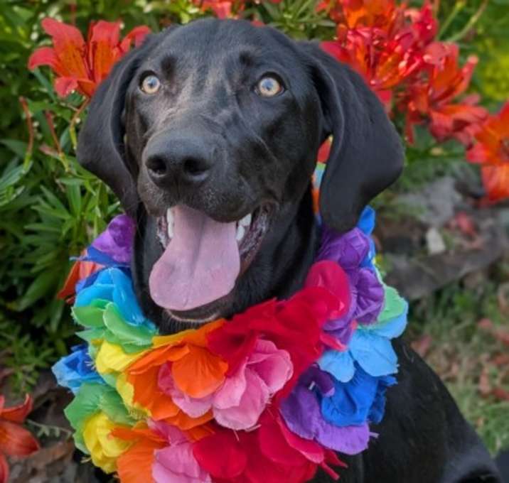 Photo of Harper