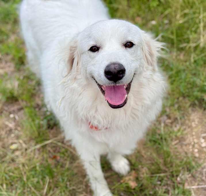 Photo of CHARLIE