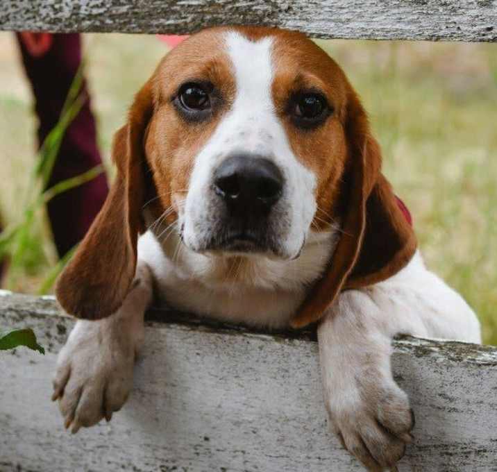 Photo of Ruthie