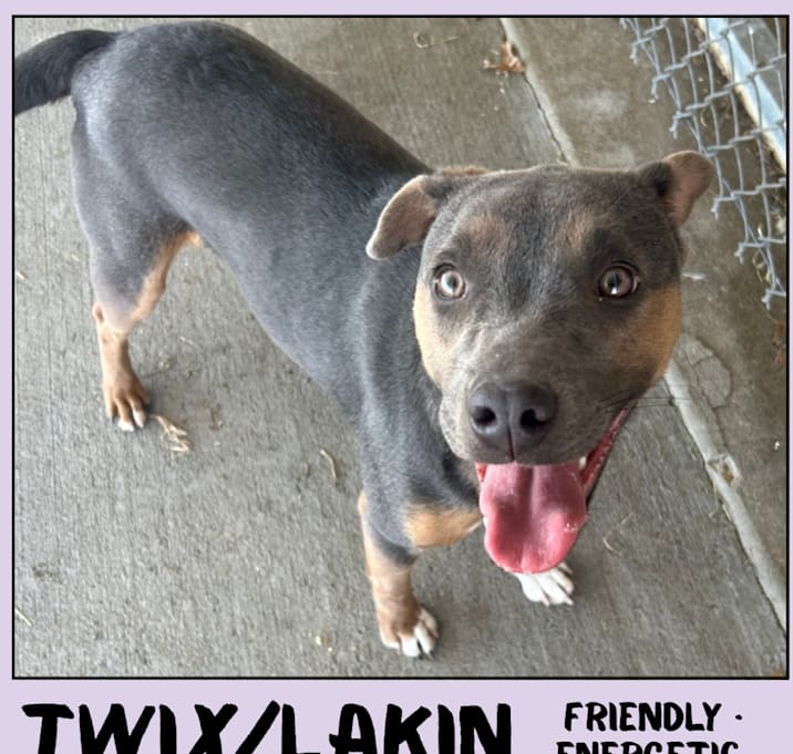 Photo of Lakin/Twix