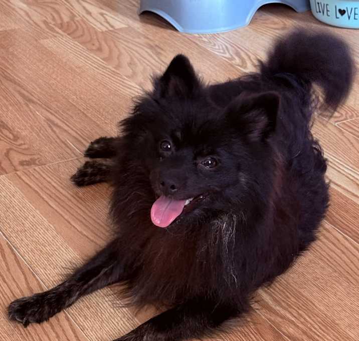 Photo of Mario