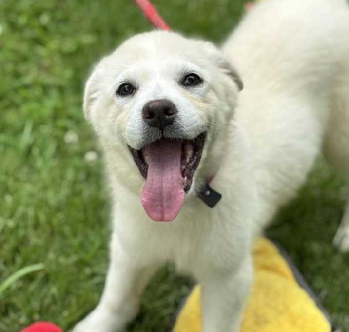 Photo of Tinker Bell