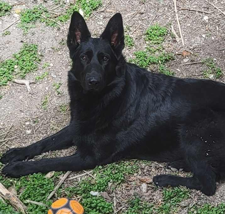 Photo of Mika