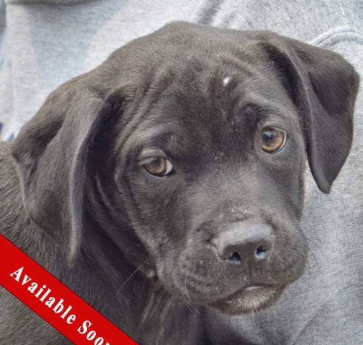 Photo of Axel