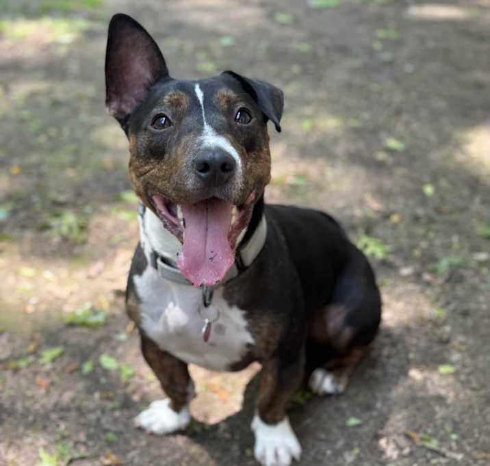 Photo of Blue