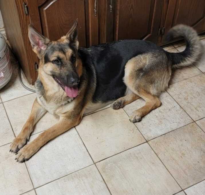 Photo of Rosie