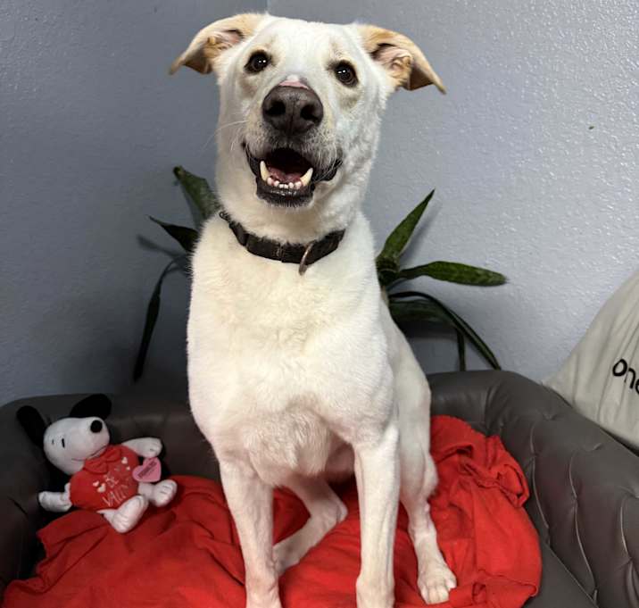 Photo of Ace Smiley