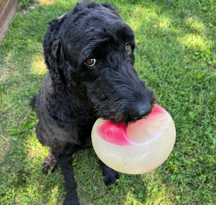 Photo of Captain