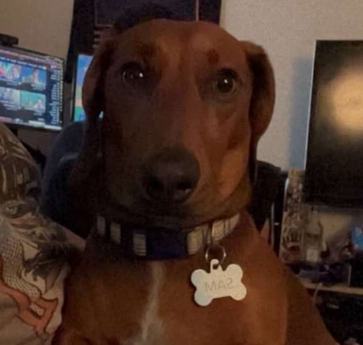 Photo of Sam