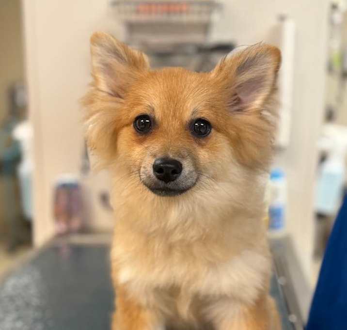 Photo of Darcey