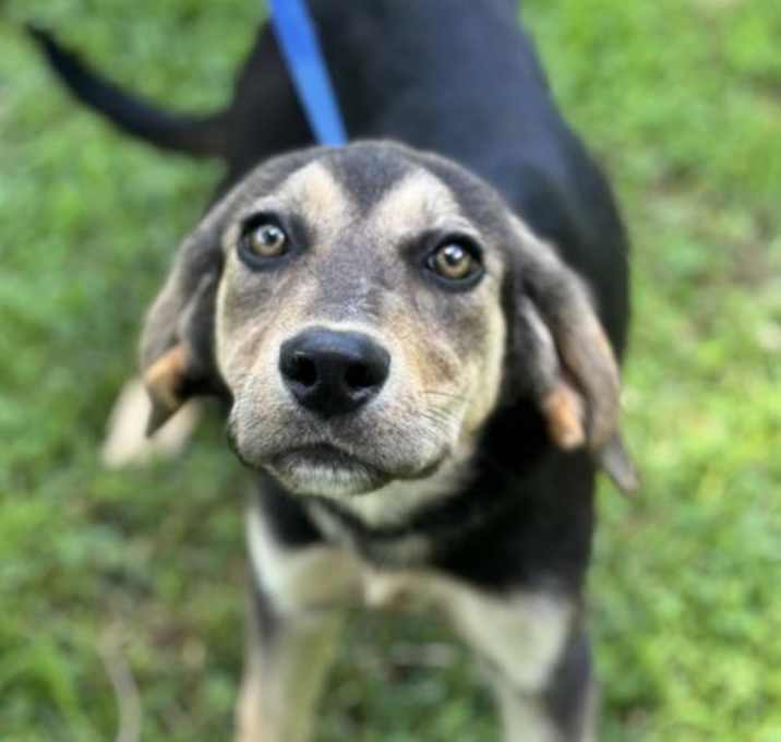 Photo of Hazel