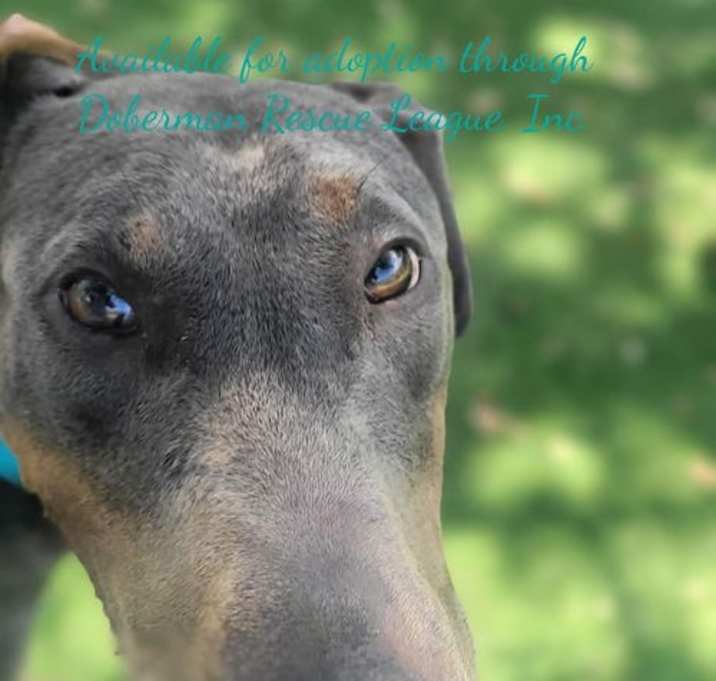 Photo of Blue 3416