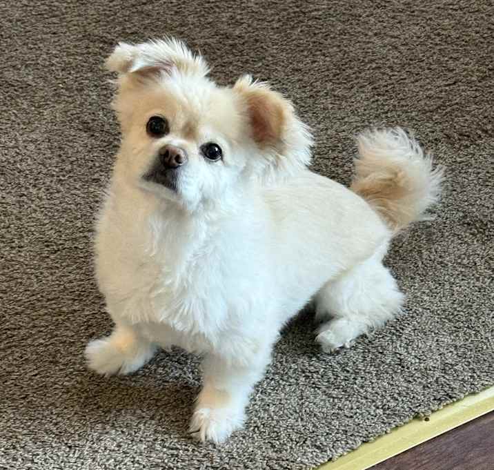 Photo of Maxi