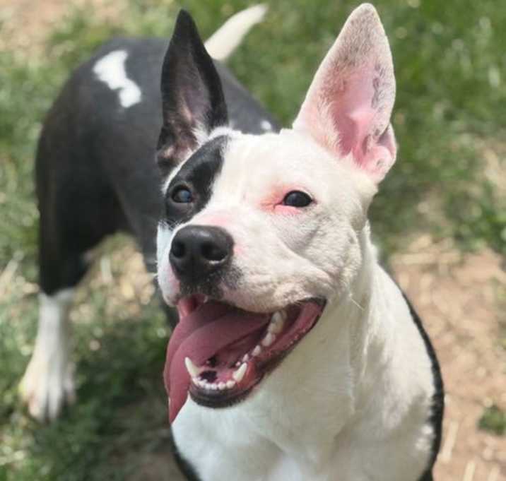 Photo of Eggroll
