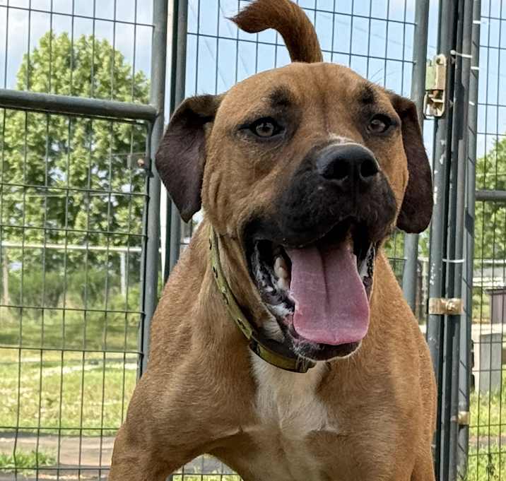 Photo of Chase