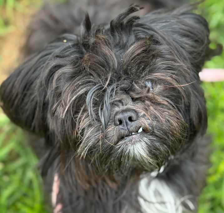 Photo of Noelani