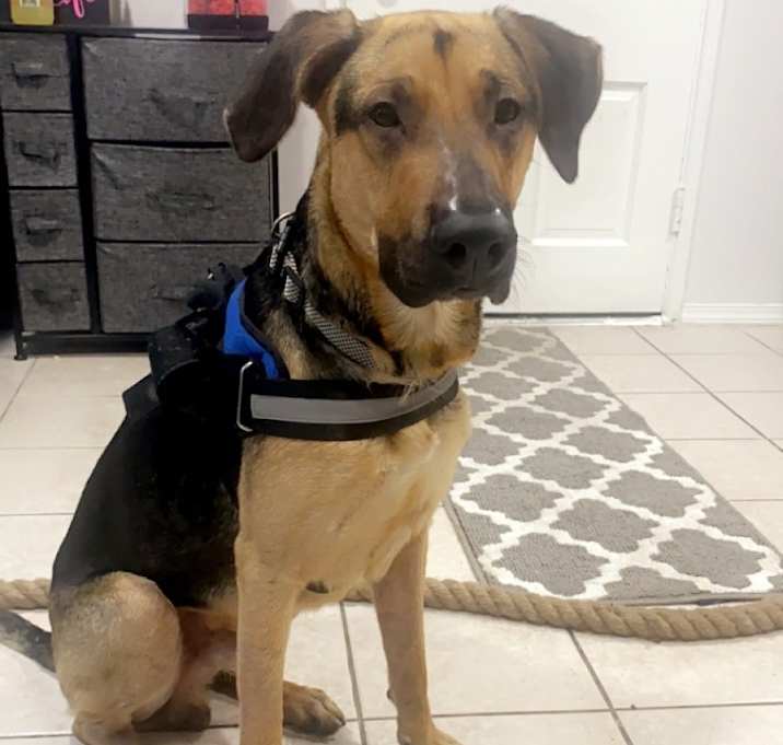 Photo of Shaggy