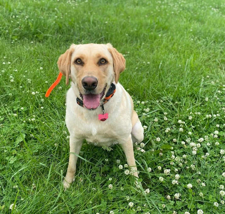 Photo of Gracie May