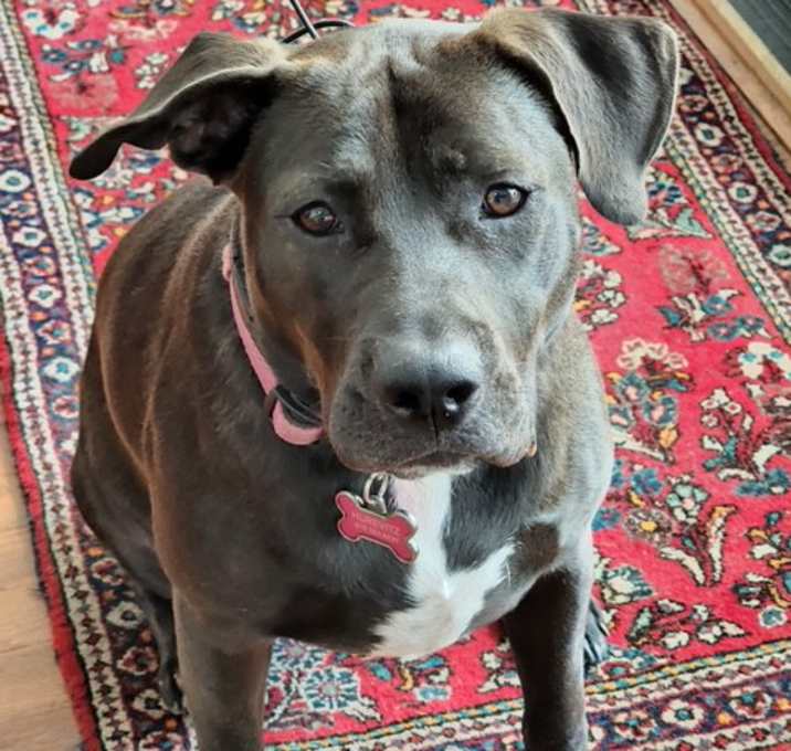 Photo of Lovely Sophie