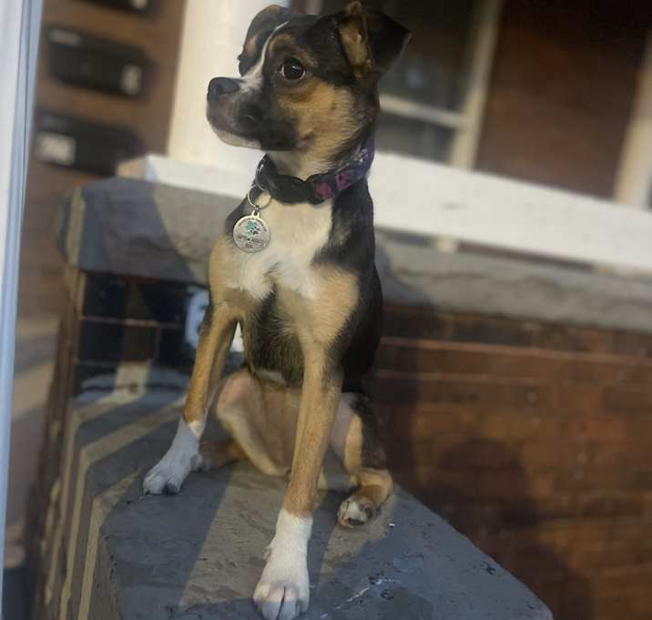 Photo of Athena