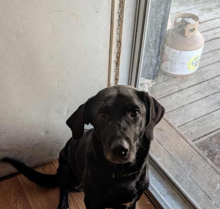 Photo of Nala Jade