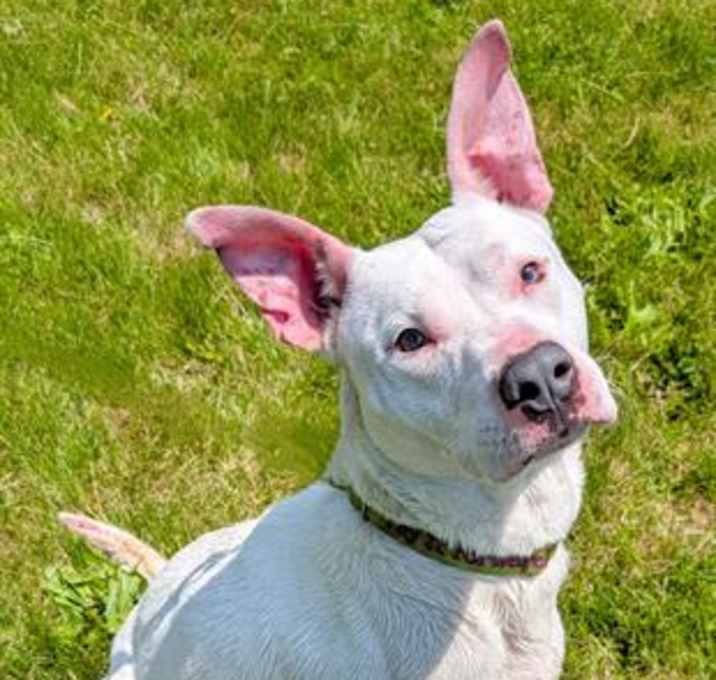 Photo of THELMA