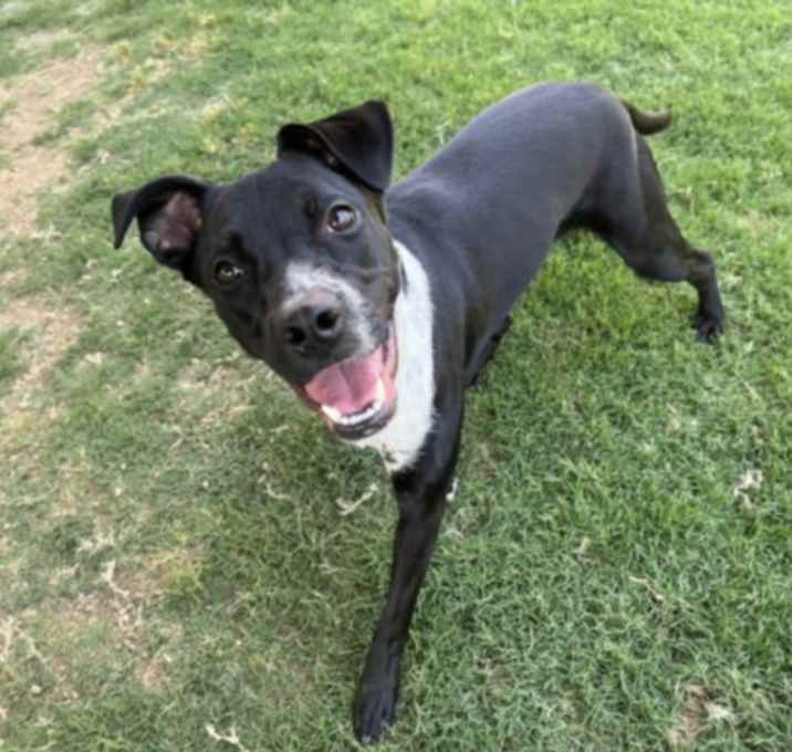 Photo of MOLLY