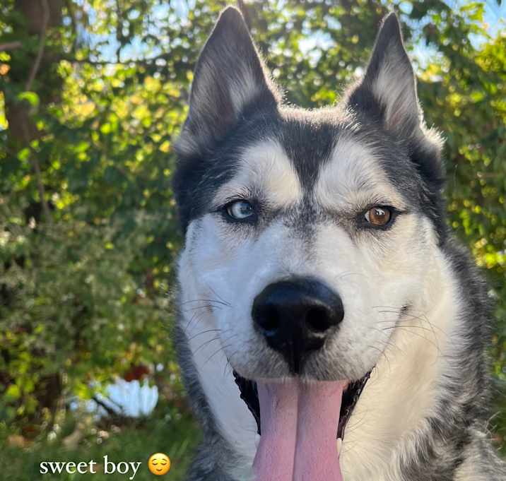 Photo of Miko