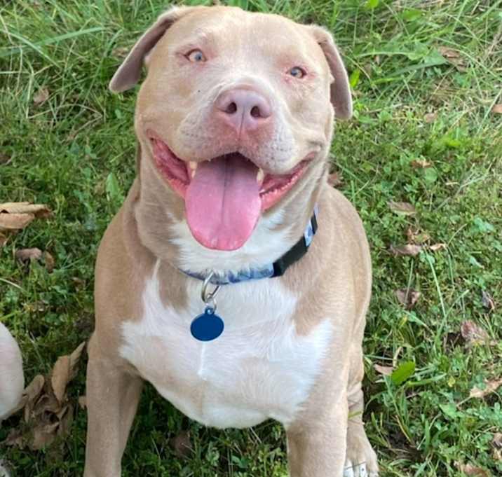 Photo of Blu