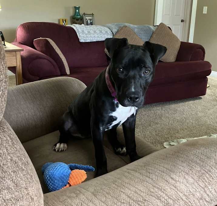 Photo of Tootie