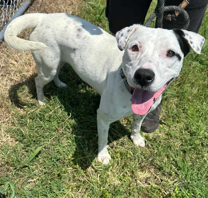 Photo of Dottie