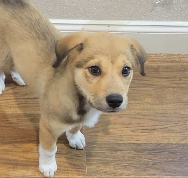 Photo of Coop
