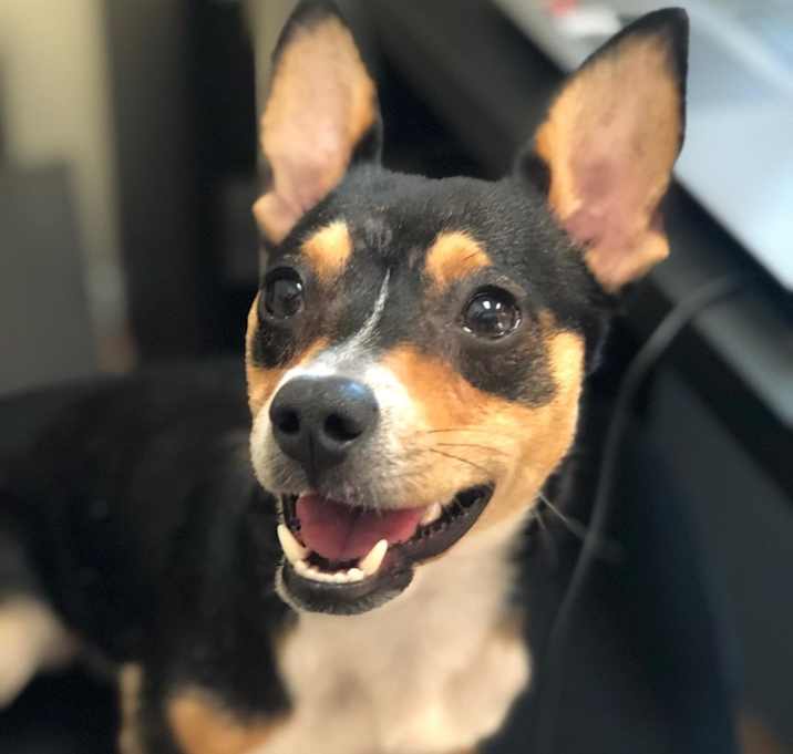 Photo of Dez
