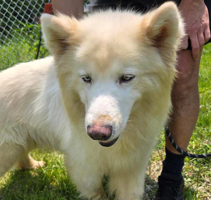 Photo of CODA