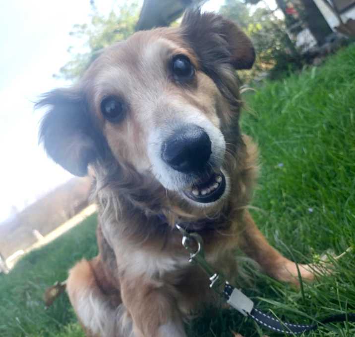 Photo of Twix