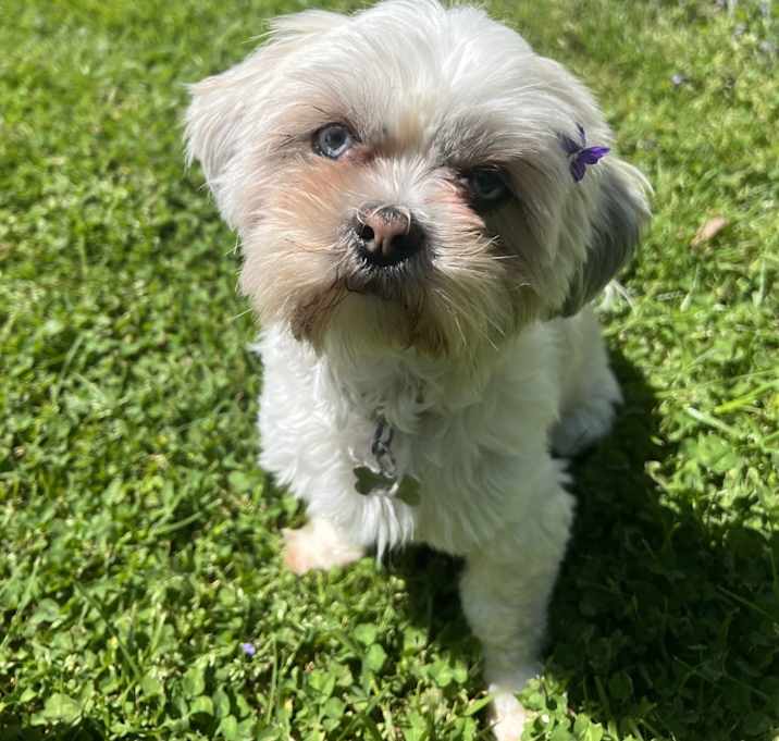 Photo of Maggy