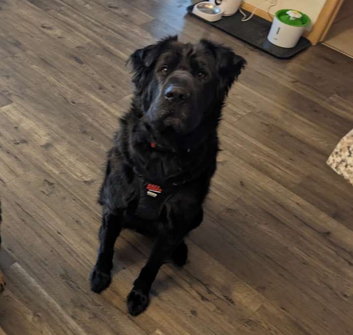 Photo of Gamma