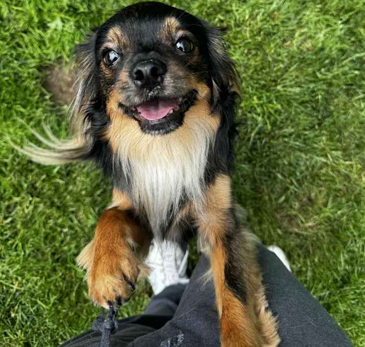 Photo of Charlie