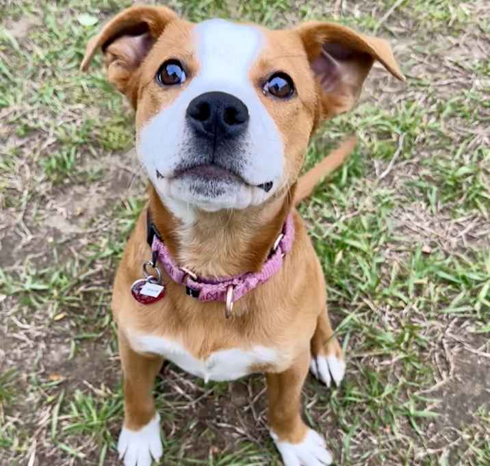 Photo of Irlene
