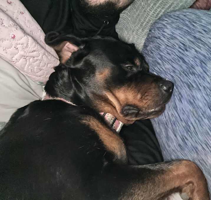 Photo of Daisy