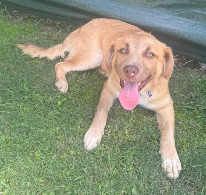 Photo of Frito