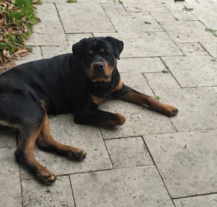 Photo of Max