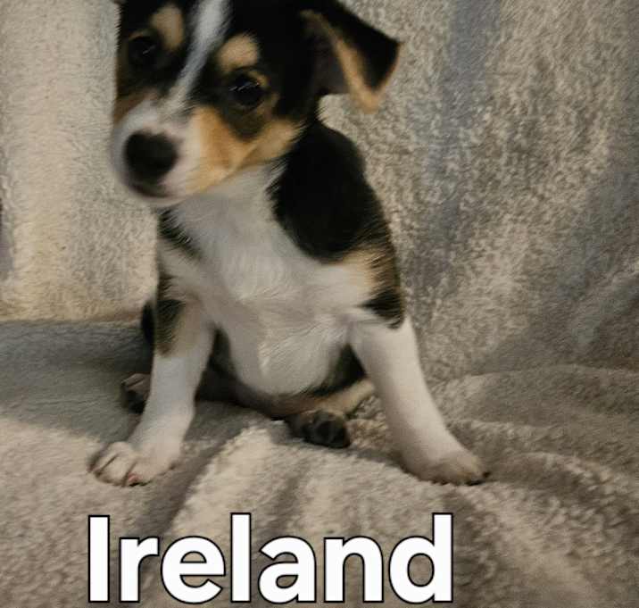 Photo of Ireland