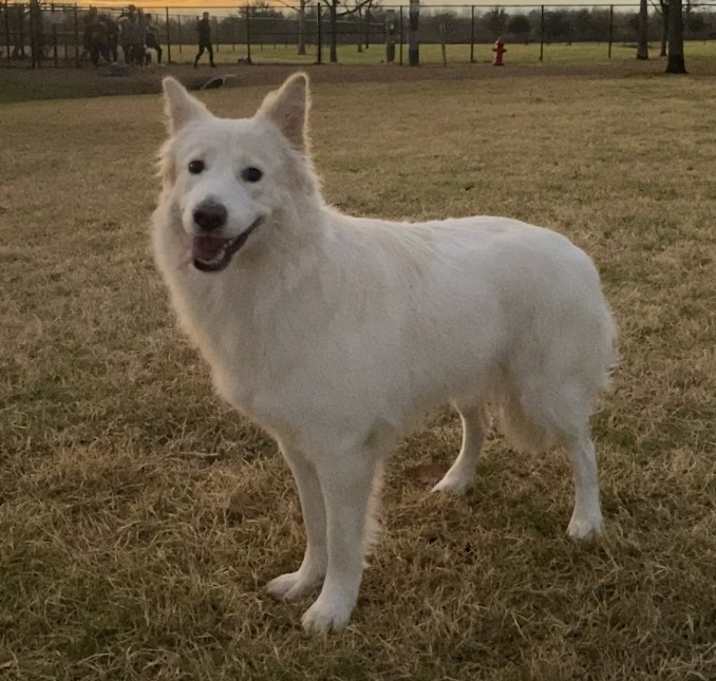 Photo of Mika