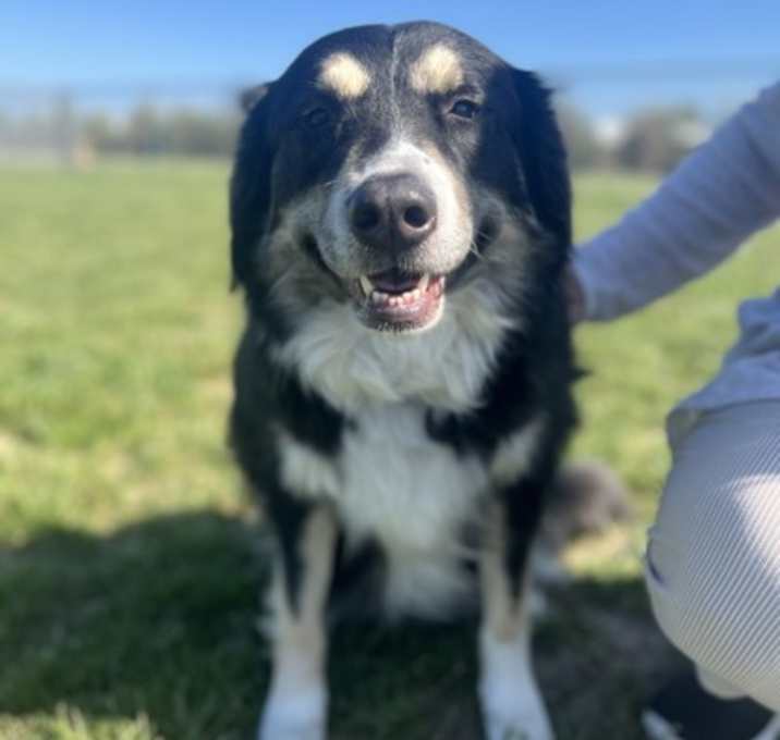 Photo of Maisie