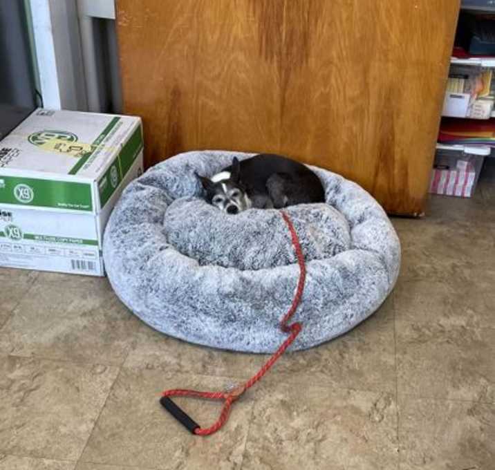 Photo of Libby