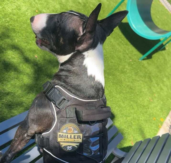 Photo of Charlie