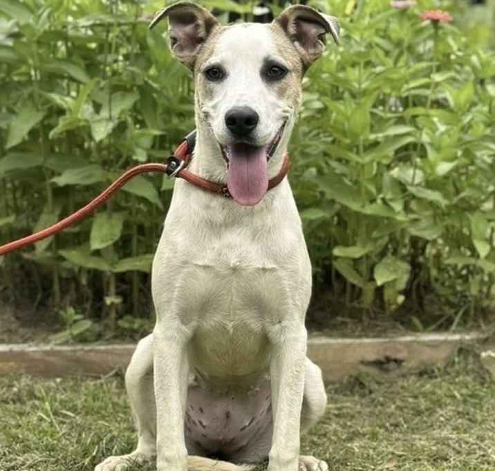Photo of Delilah