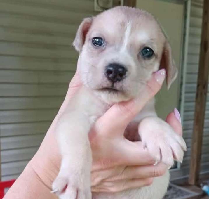 Photo of Skye