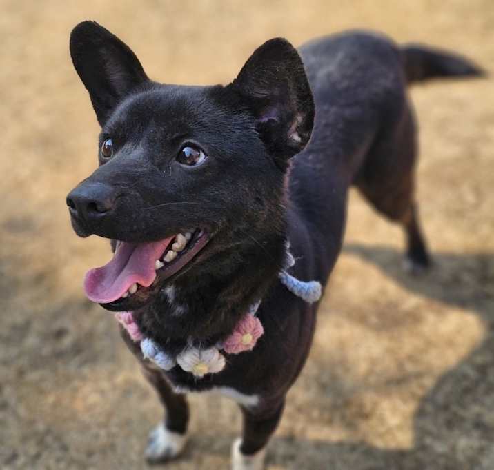 Photo of Mickey